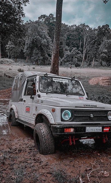 加入老将埃 加入老将埃